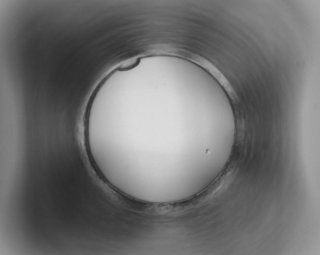 X0000101700955200807311429