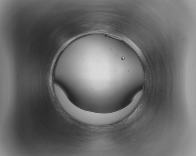 X0000101700956200807311429