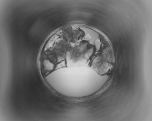 X0000101700957200807311429