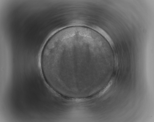 X0000101700958200807311429