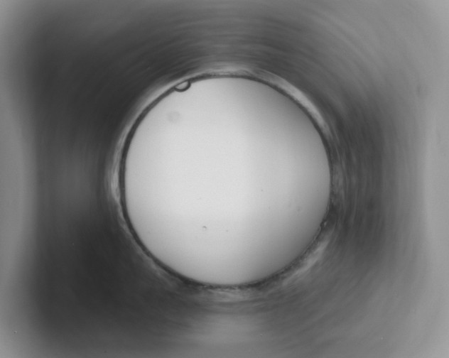 X0000101700959200807311429