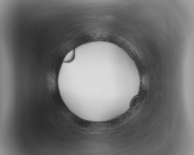 X0000101700963200807311428