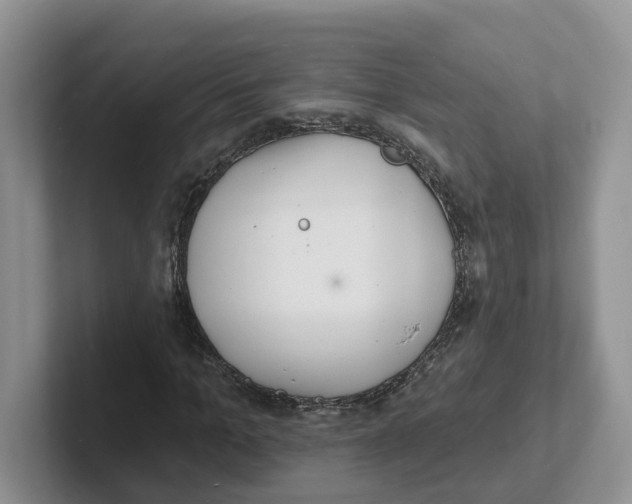 X0000101700965200807311428