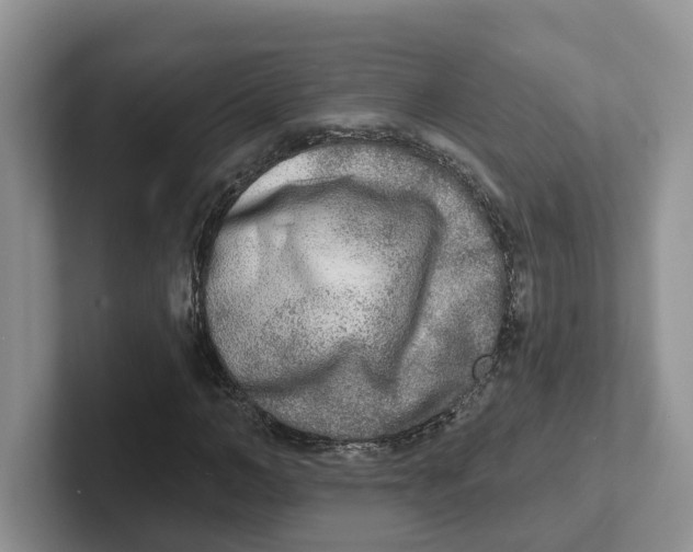 X0000101700966200807311428