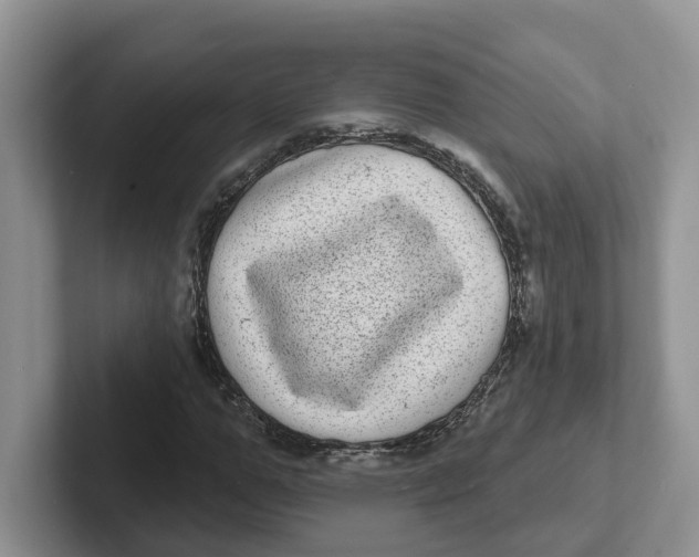 X0000101700967200807311428