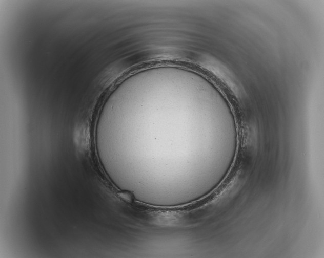 X0000101700969200807311428