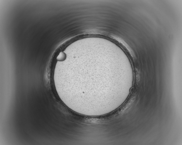 X0000101700971200807311428