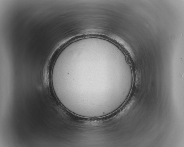 X0000101700973200807311428