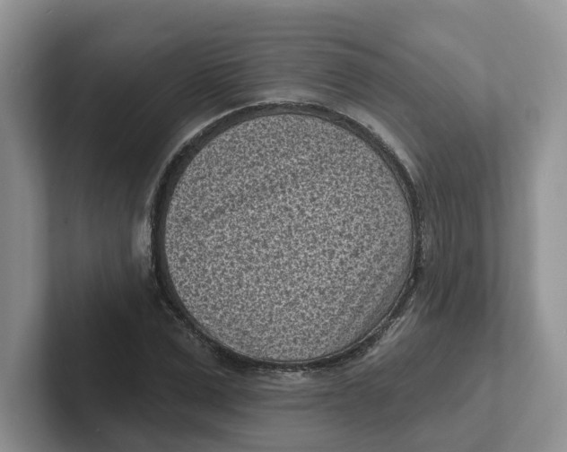 X0000101700975200807311428