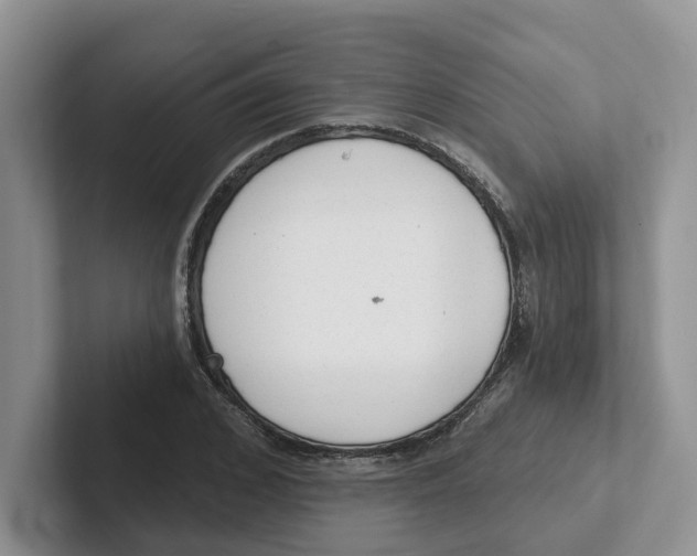 X0000101700976200807311428