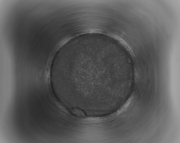 X0000101700977200807311428