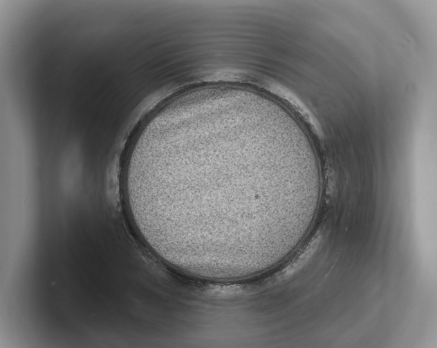 X0000101700978200807311428