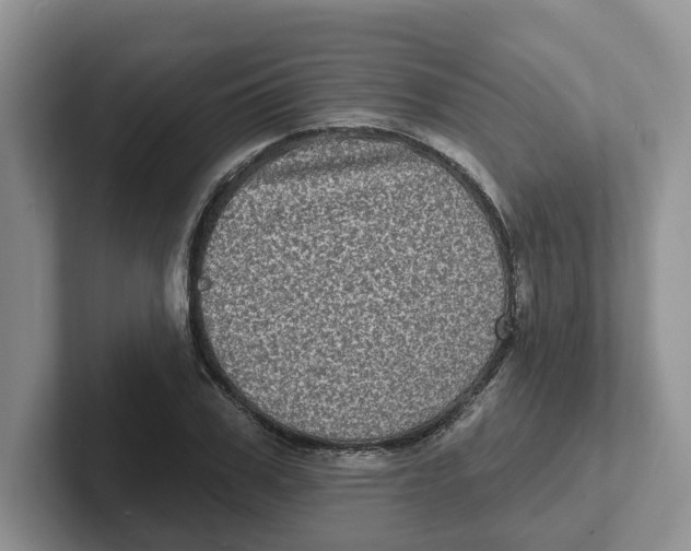 X0000101700979200807311428