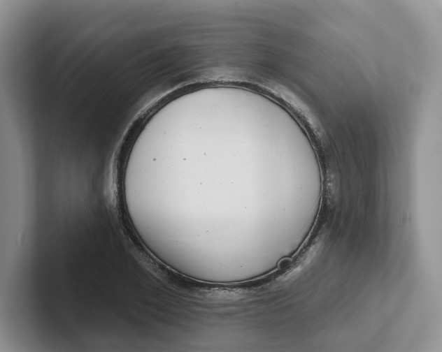 X0000101700981200807311428