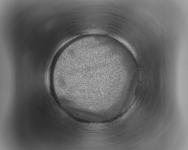 X0000101700983200807311428