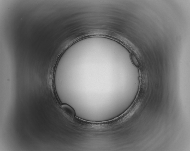 X0000101700985200807311428