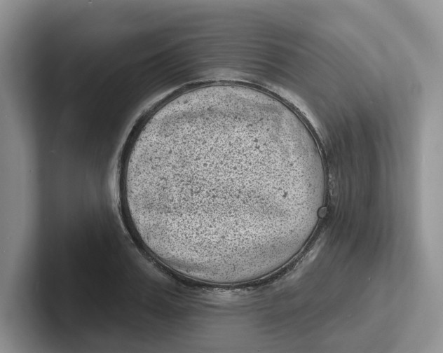 X0000101700987200807311428