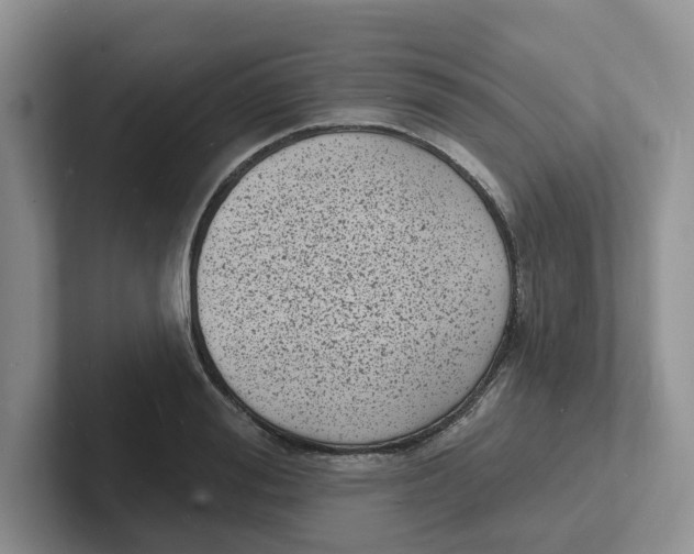 X0000101700988200807311428