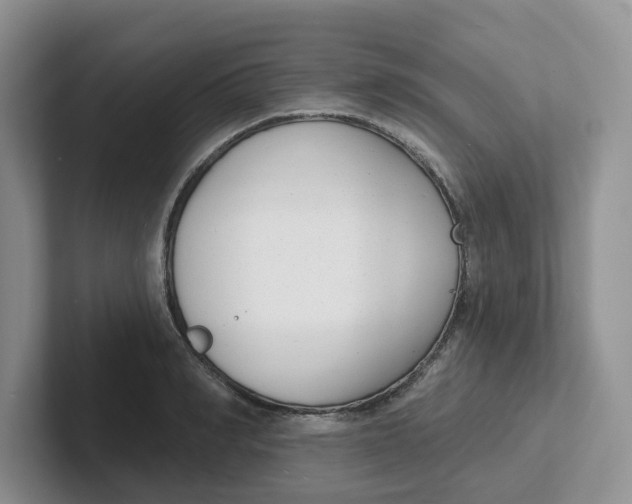 X0000101700990200807311428