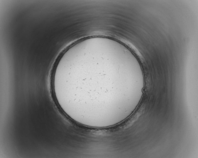 X0000101700991200807311428