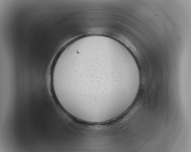 X0000101700992200807311428