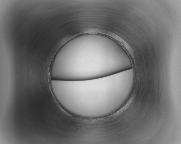 X0000101700993200807311428