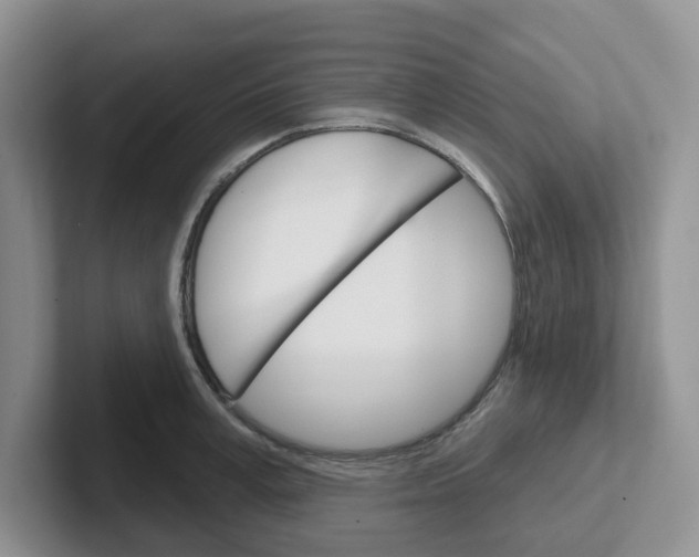 X0000101700995200807311428