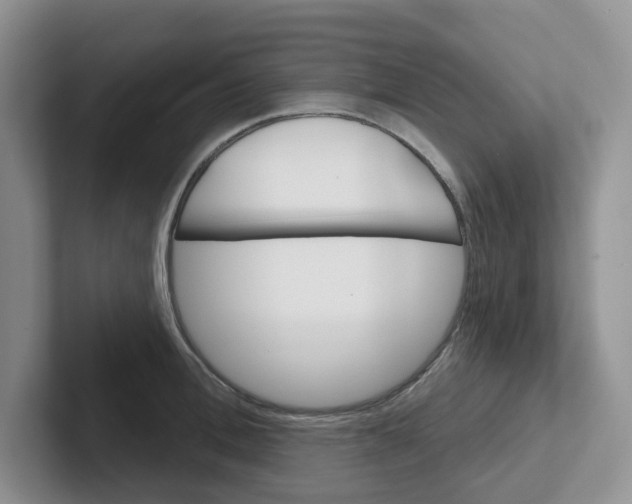 X0000101700996200807311428