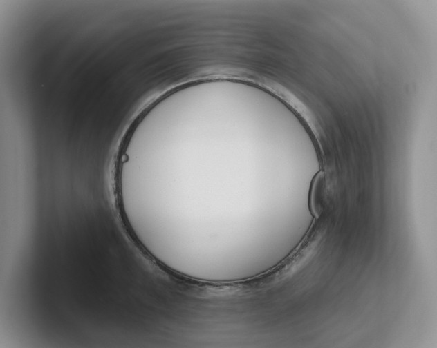 X0000101700997200807311428