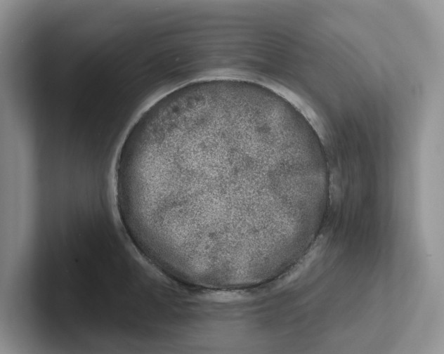 X0000101700998200807311428