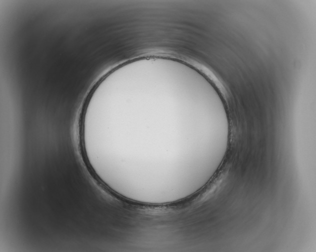 X0000101700999200807311428