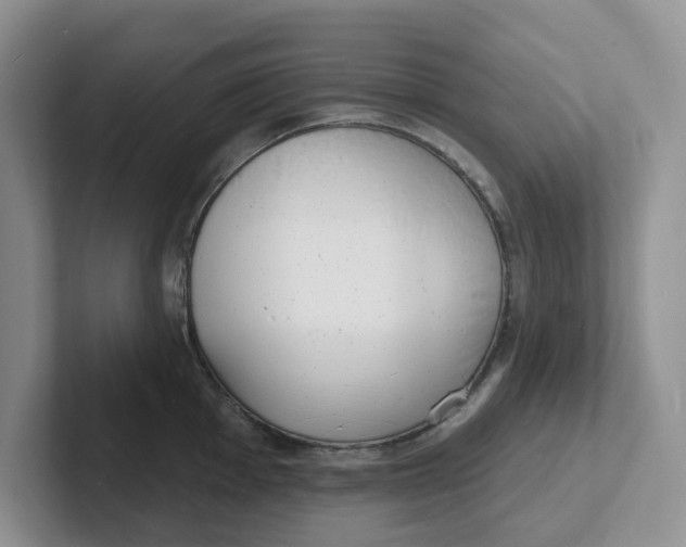 X0000101701001200807311428