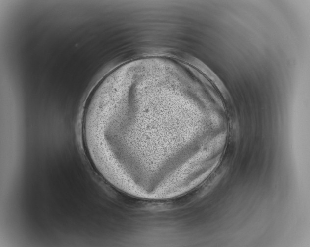 X0000101701002200807311428