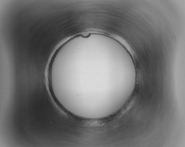 X0000101701003200807311428