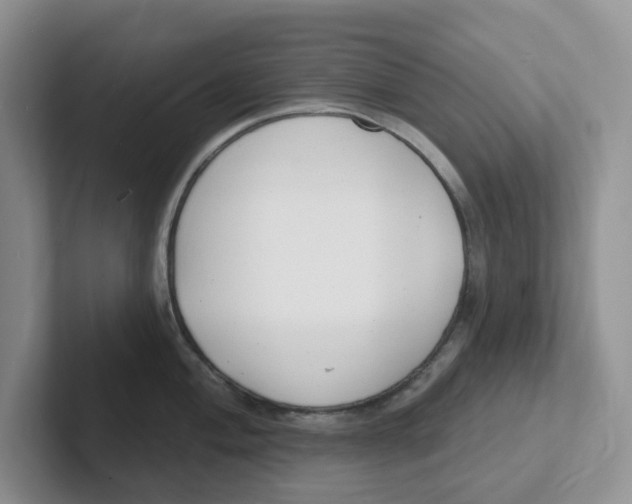 X0000101701004200807311428