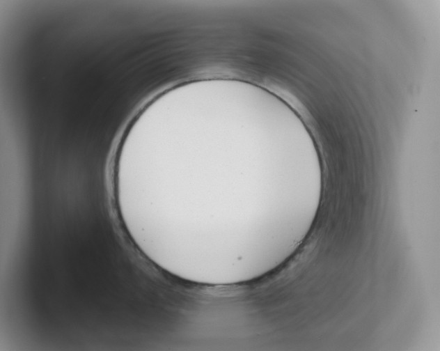 X0000101701008200807311428