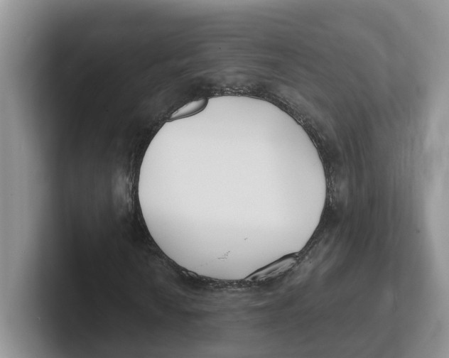 X0000101701010200807311427