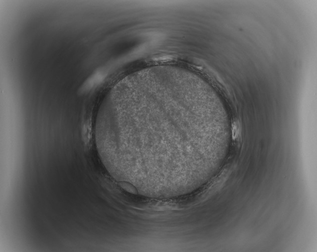 X0000101701011200807311427