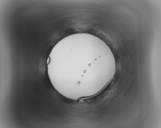 X0000101701012200807311427