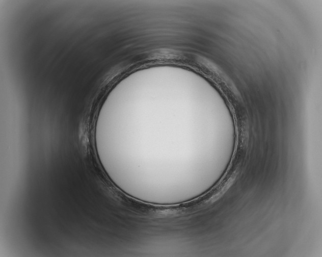 X0000101701017200807311427