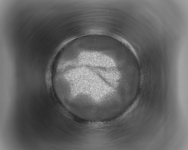 X0000101701019200807311427