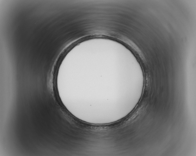 X0000101701020200807311427