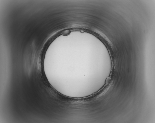 X0000101701021200807311427