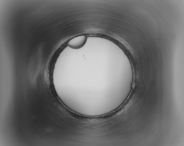 X0000101701022200807311427