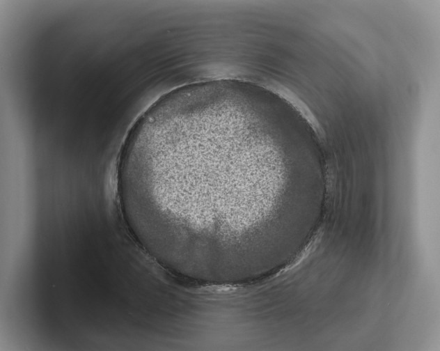 X0000101701023200807311427