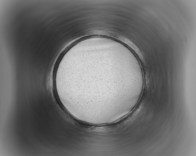 X0000101701028200807311428