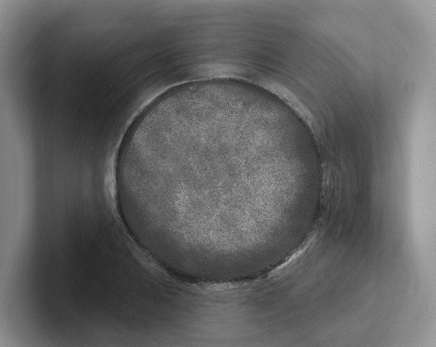 X0000101701031200807311428