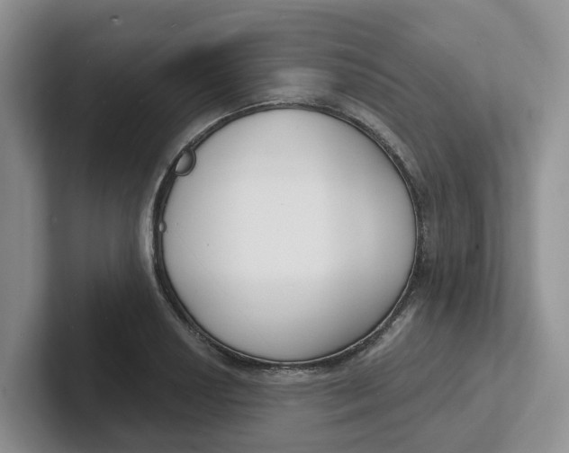 X0000101701034200807311428