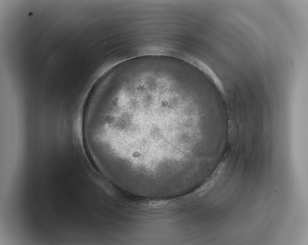 X0000101701035200807311428