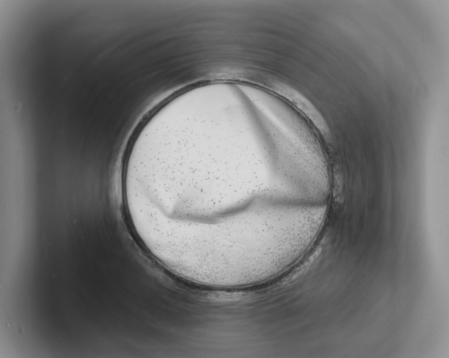 X0000101701036200807311428